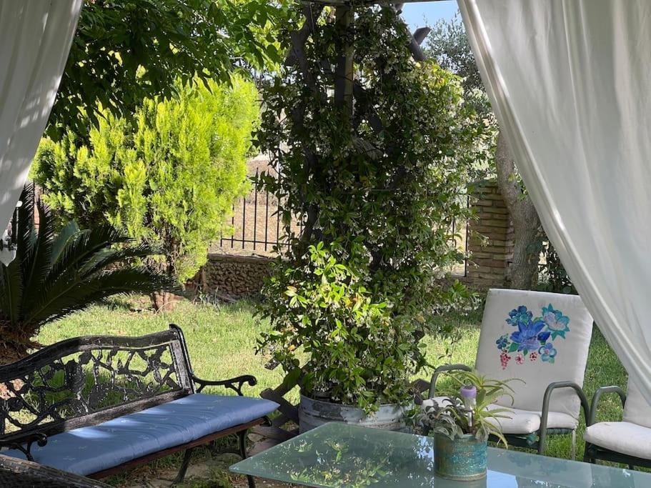 Mama'S Sunshine Garden Villa Agios Ilias  Zewnętrze zdjęcie