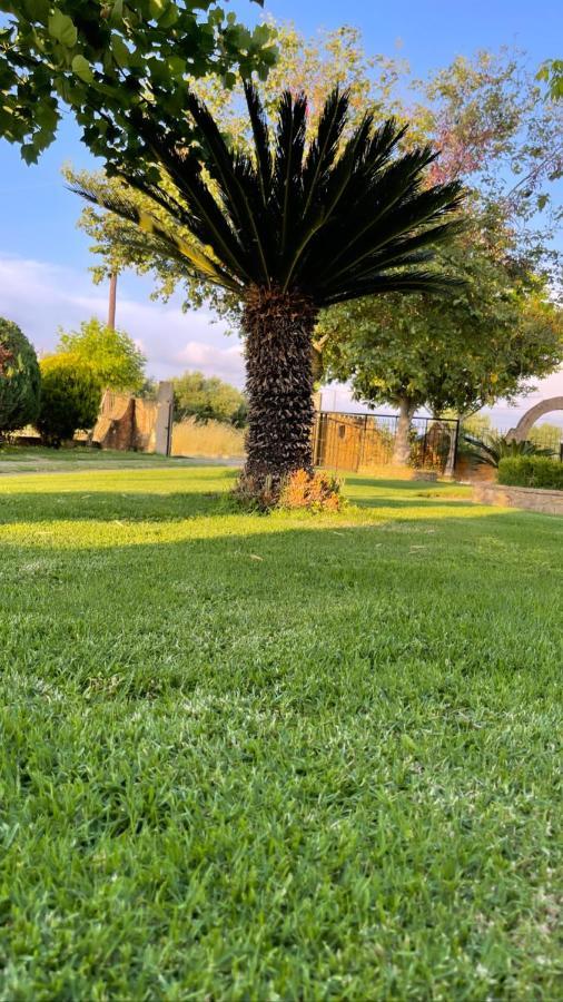 Mama'S Sunshine Garden Villa Agios Ilias  Zewnętrze zdjęcie