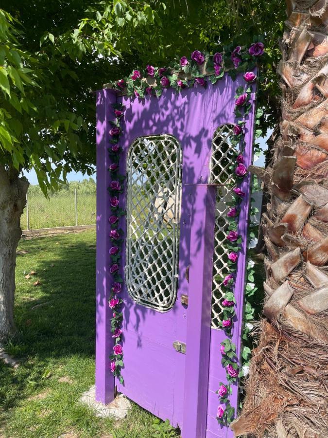 Mama'S Sunshine Garden Villa Agios Ilias  Zewnętrze zdjęcie