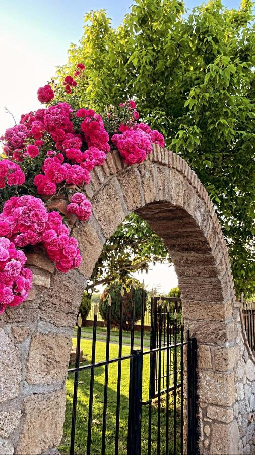 Mama'S Sunshine Garden Villa Agios Ilias  Zewnętrze zdjęcie