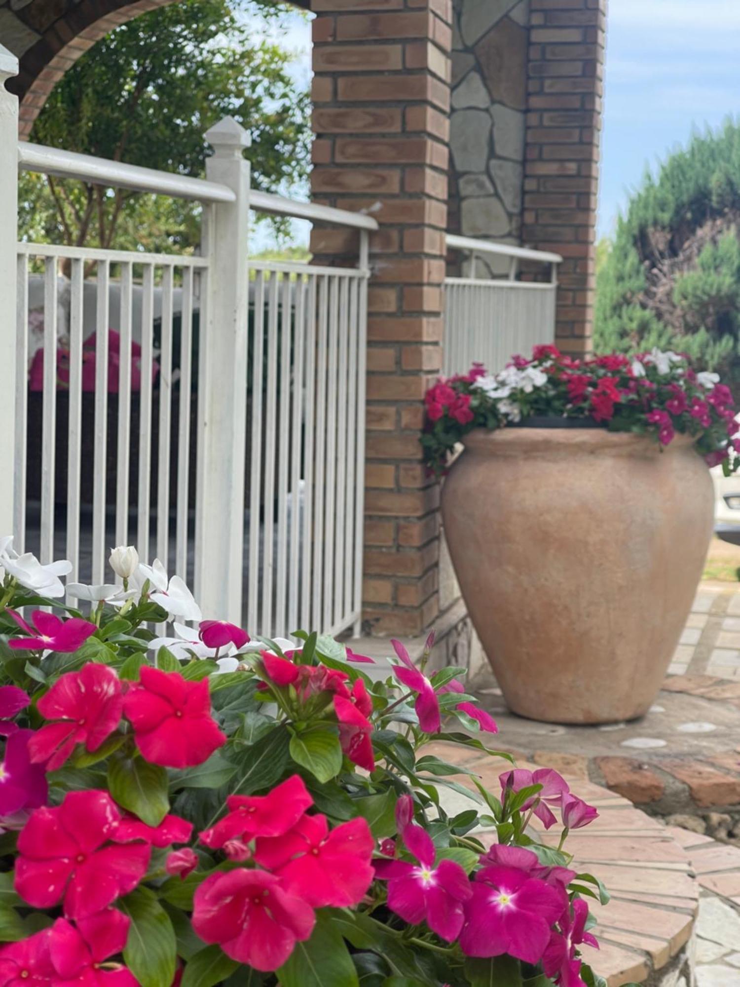 Mama'S Sunshine Garden Villa Agios Ilias  Zewnętrze zdjęcie