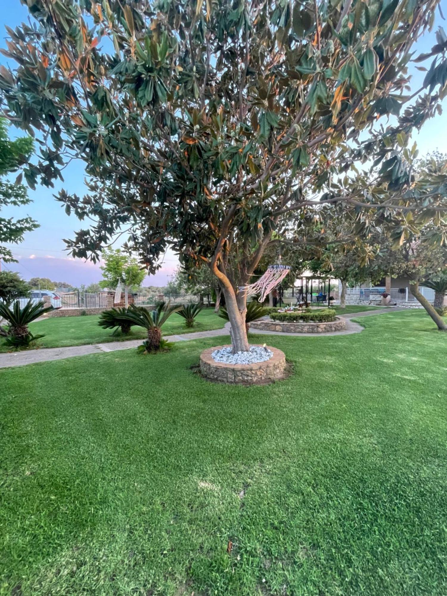 Mama'S Sunshine Garden Villa Agios Ilias  Zewnętrze zdjęcie