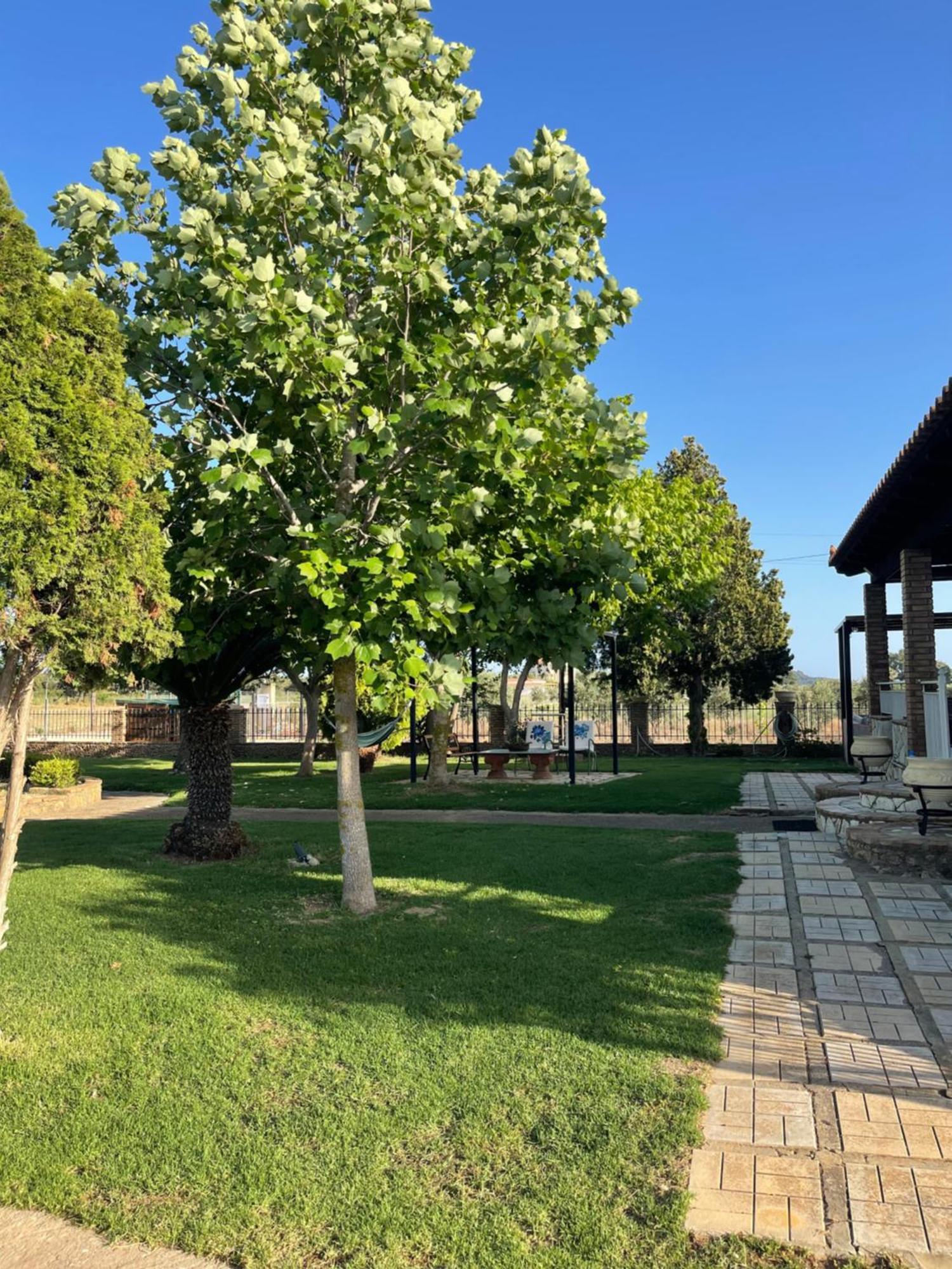Mama'S Sunshine Garden Villa Agios Ilias  Zewnętrze zdjęcie